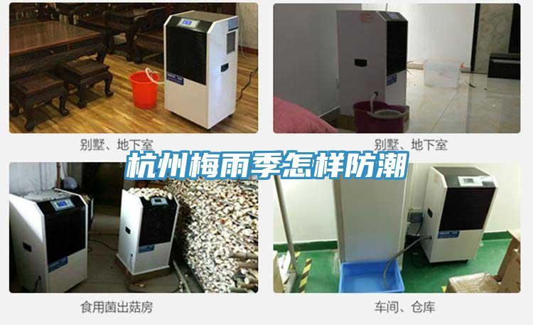 杭州梅雨季怎样防潮