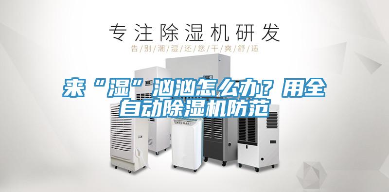 来“湿”汹汹怎么办？用全自动除湿机防范
