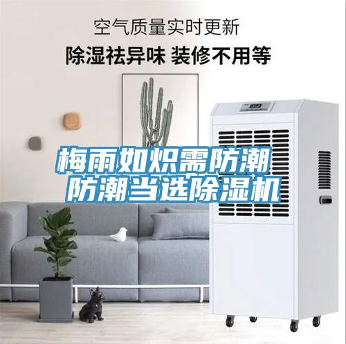 梅雨如炽需防潮 防潮当选除湿机