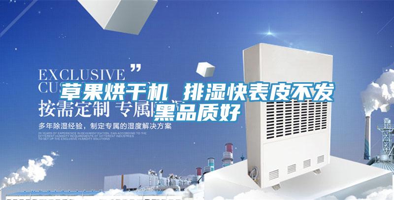 草果烘干机 排湿快表皮不发黑品质好