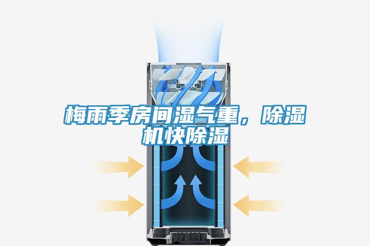 梅雨季房间湿气重，除湿机快除湿