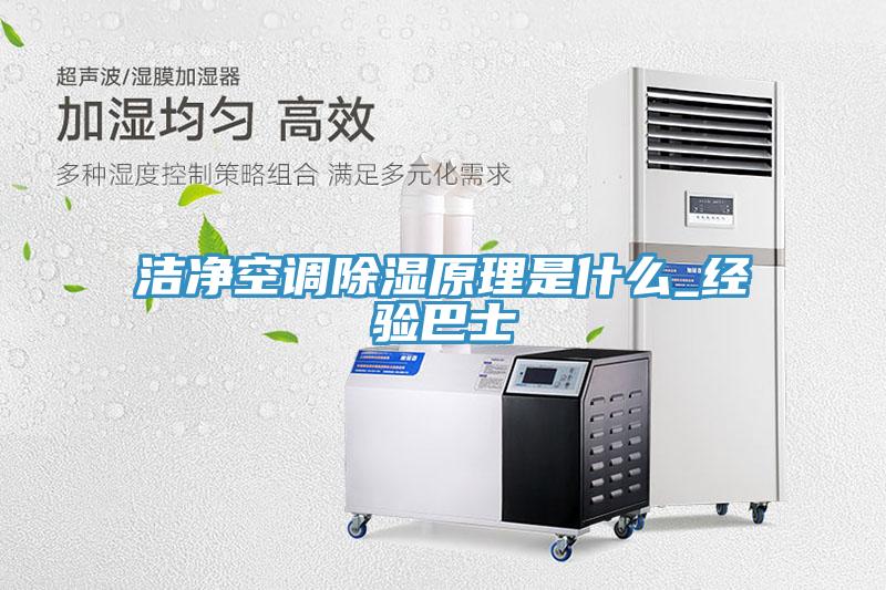 洁净空调除湿原理是什么_经验巴士