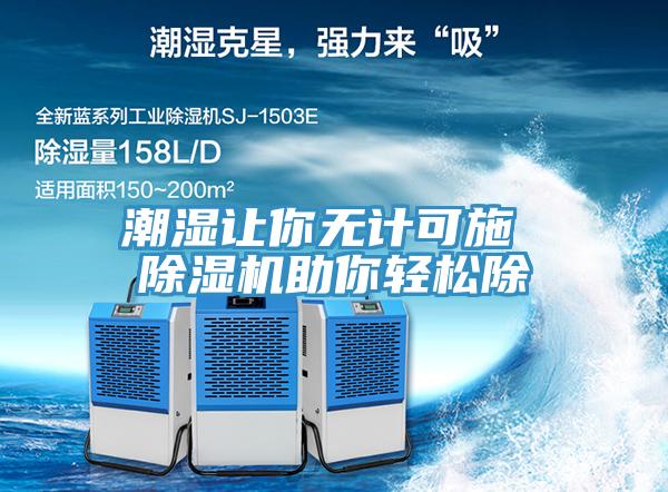 潮湿让你无计可施 除湿机助你轻松除