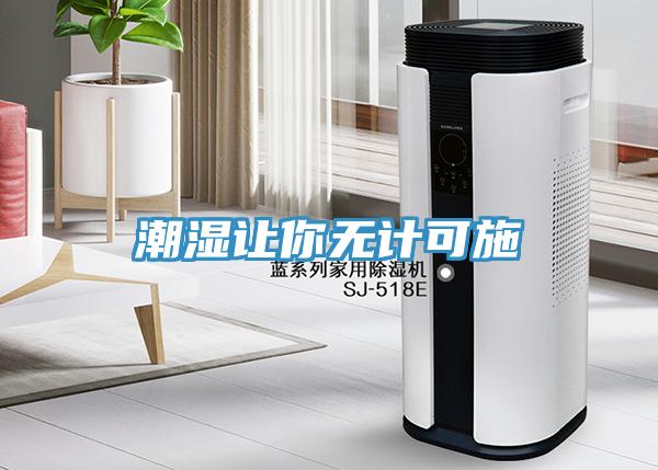 潮湿让你无计可施