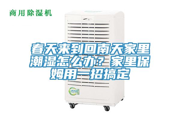 春天来到回南天家里潮湿怎么办？家里保姆用一招搞定