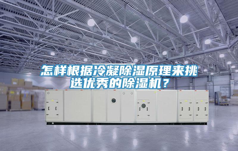 怎样根据冷凝除湿原理来挑选优秀的除湿机？