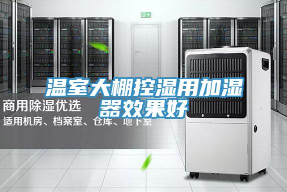 温室大棚控湿用加湿器效果好