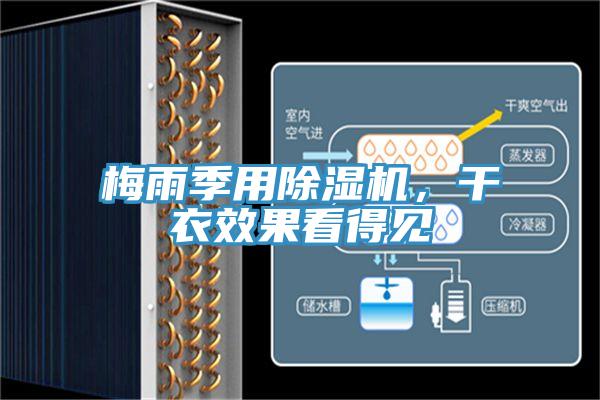 梅雨季用除湿机，干衣效果看得见