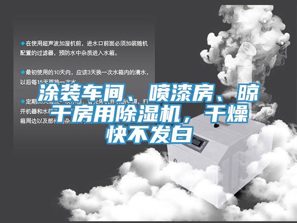 涂装车间、喷漆房、晾干房用除湿机，干燥快不发白