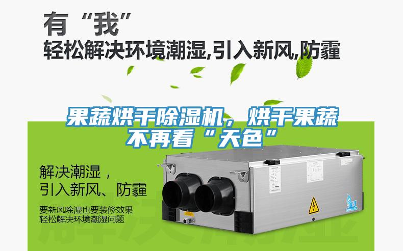 果蔬烘干除湿机，烘干果蔬不再看“天色”