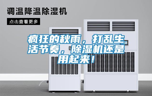 疯狂的秋雨，打乱生活节奏，除湿机还是用起来！