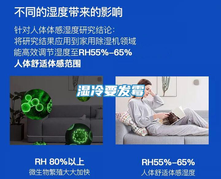 湿冷要发霉