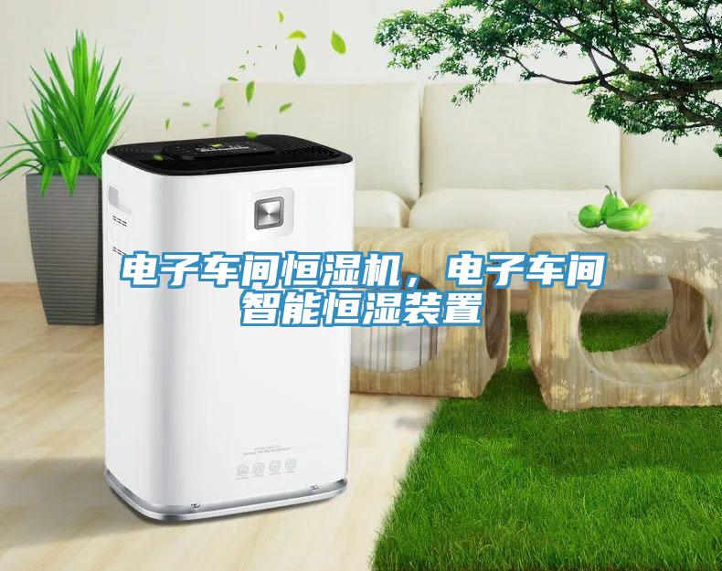 电子车间恒湿机，电子车间智能恒湿装置