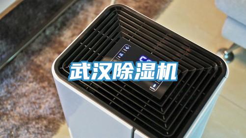 武汉除湿机