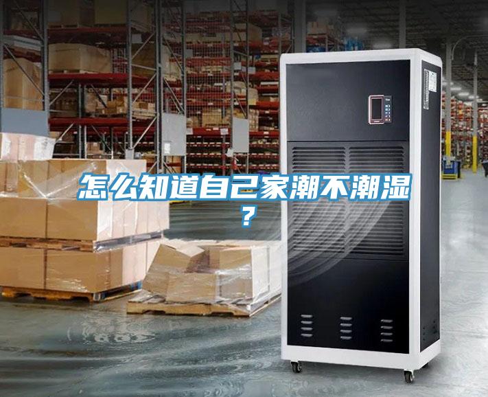 怎么知道自己家潮不潮湿？