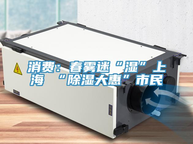 消费：春雾迷“湿”上海 “除湿大惠”市民