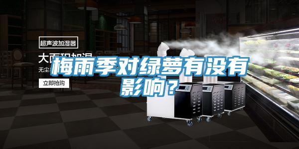 梅雨季对绿萝有没有影响？