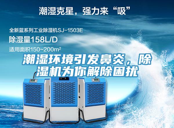 潮湿环境引发鼻炎，除湿机为你解除困扰