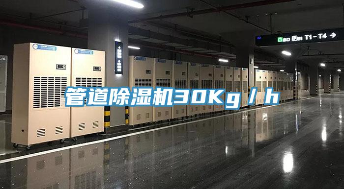 管道除湿机30Kg／h