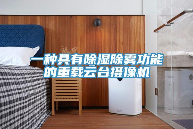 一种具有除湿除雾功能的重载云台摄像机
