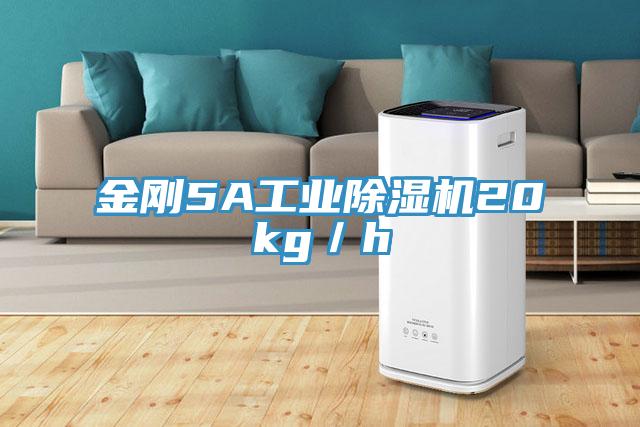 金刚5A工业除湿机20kg／h