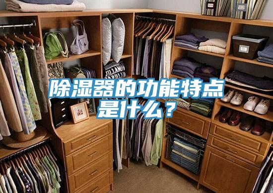 除湿器的功能特点是什么？