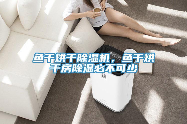 鱼干烘干除湿机，鱼干烘干房除湿必不可少