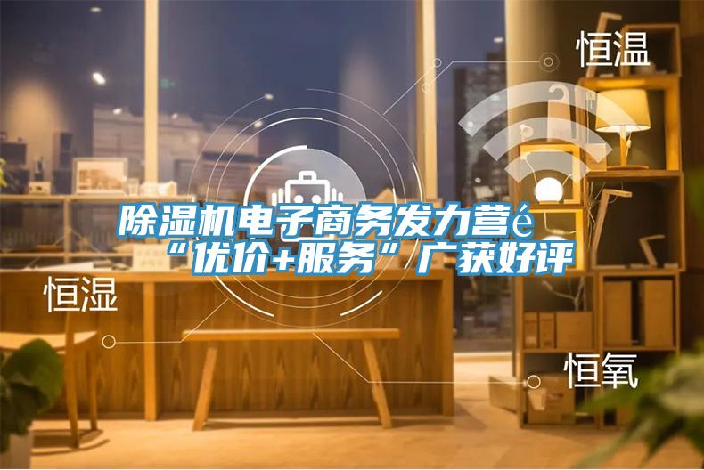 除湿机电子商务发力营销“优价+服务”广获好评