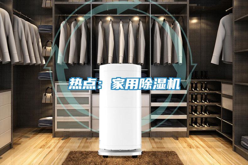 热点：家用除湿机