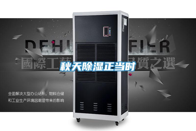 秋天除湿正当时