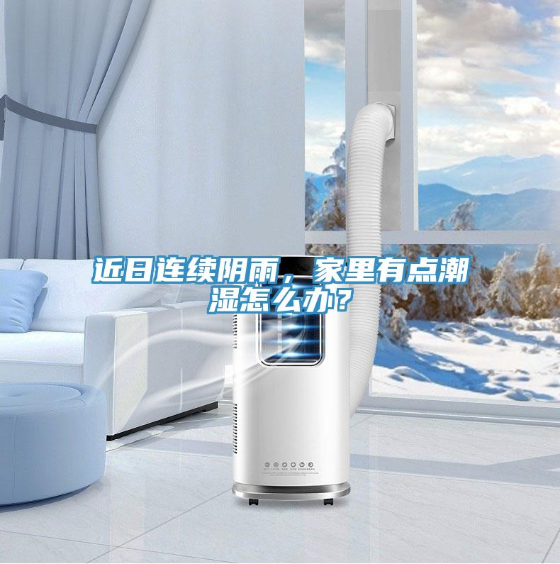近日连续阴雨，家里有点潮湿怎么办？