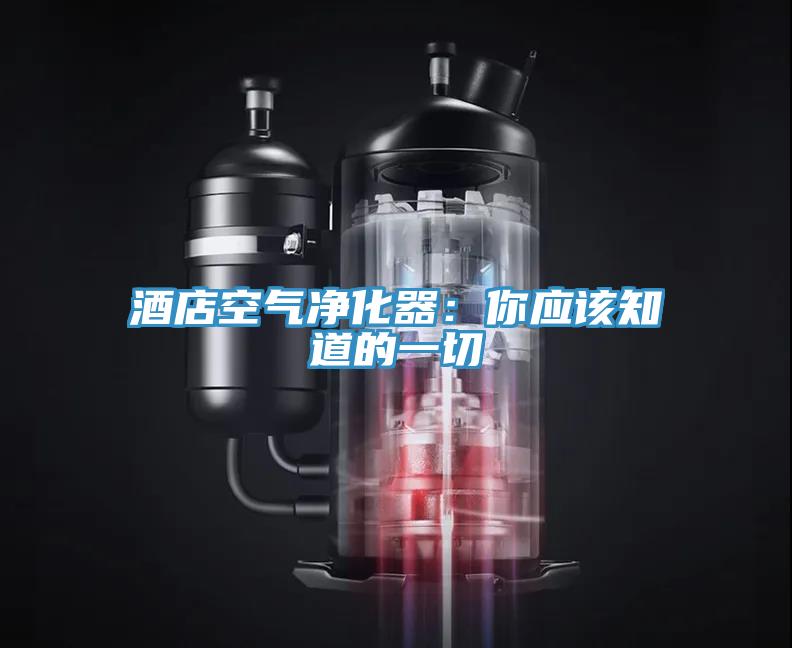 酒店空气净化器：你应该知道的一切