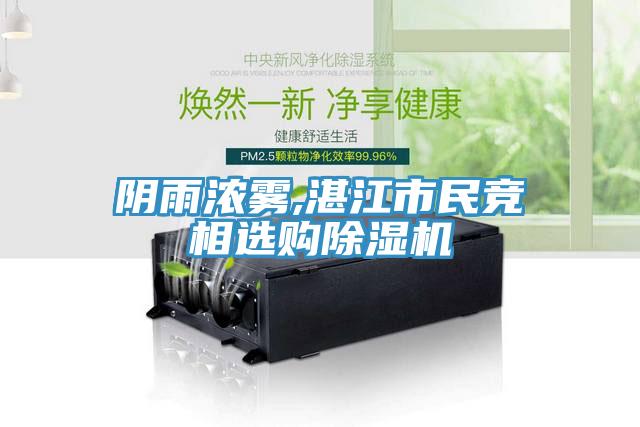 阴雨浓雾,湛江市民竞相选购除湿机