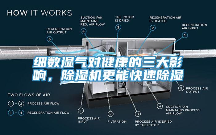 细数湿气对健康的三大影响，除湿机更能快速除湿