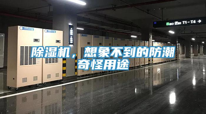 除湿机，想象不到的防潮奇怪用途