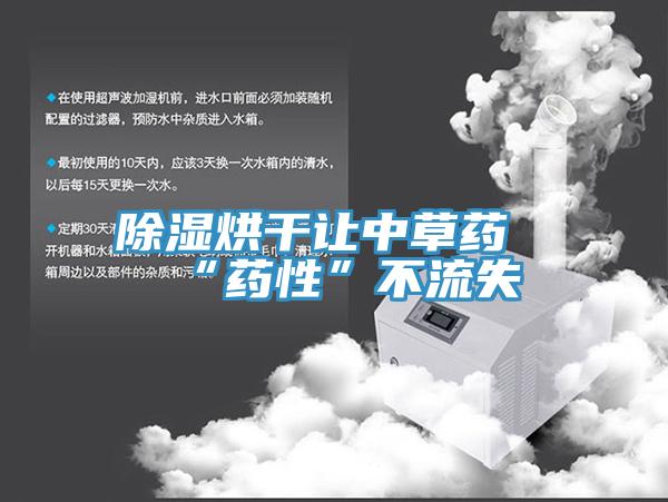 除湿烘干让中草药“药性”不流失