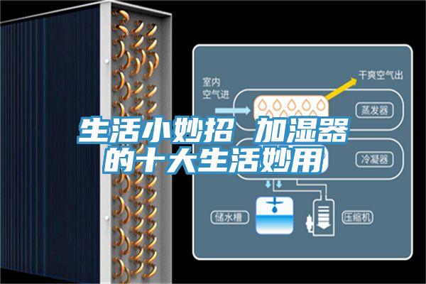 生活小妙招 加湿器的十大生活妙用