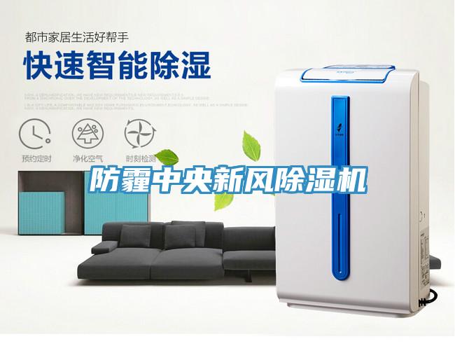 防霾中央新风除湿机