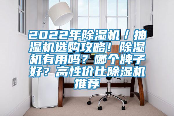2022年除湿机／抽湿机选购攻略！除湿机有用吗？哪个牌子好？高性价比除湿机推荐