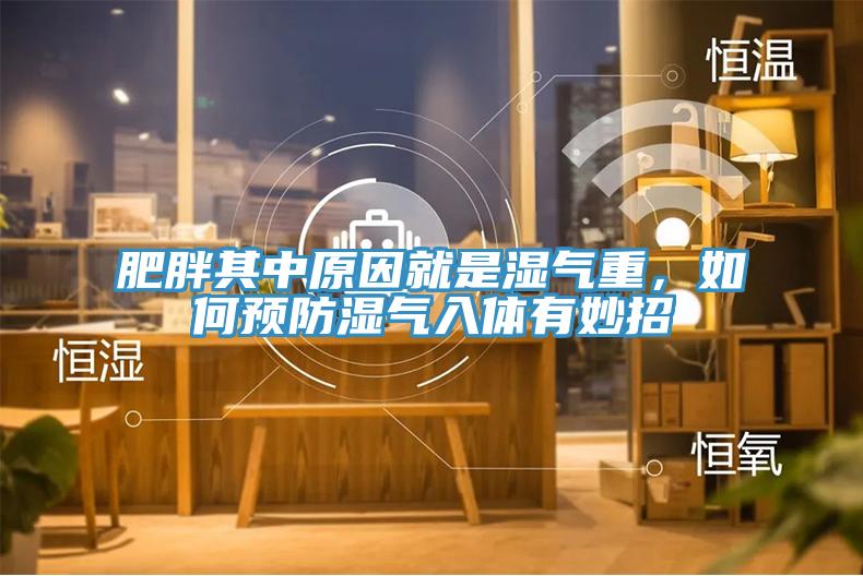 肥胖其中原因就是湿气重，如何预防湿气入体有妙招