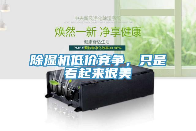 除湿机低价竞争，只是看起来很美