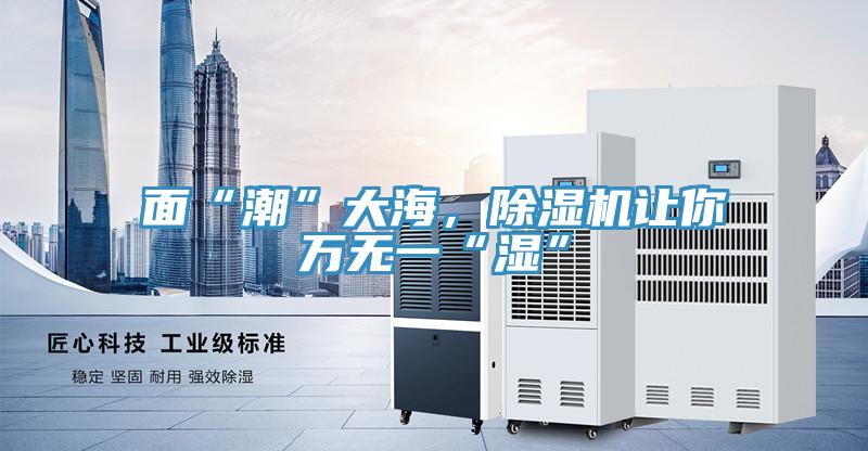面“潮”大海，除湿机让你万无一“湿”