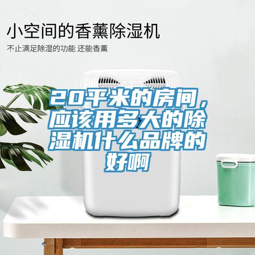 20平米的房间，应该用多大的除湿机什么品牌的好啊