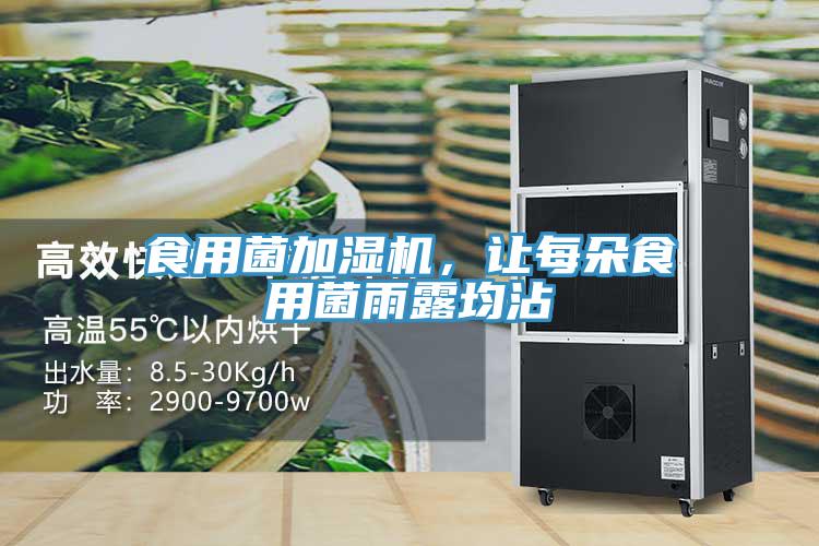 食用菌加湿机，让每朵食用菌雨露均沾