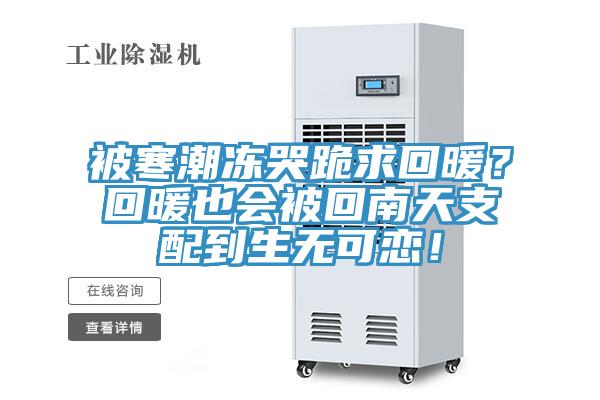 被寒潮冻哭跪求回暖？回暖也会被回南天支配到生无可恋！