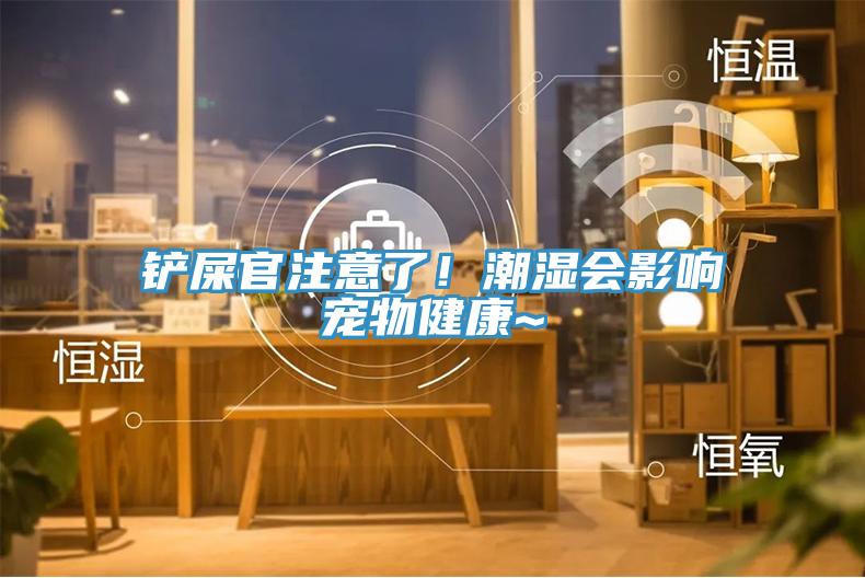 铲屎官注意了！潮湿会影响宠物健康~
