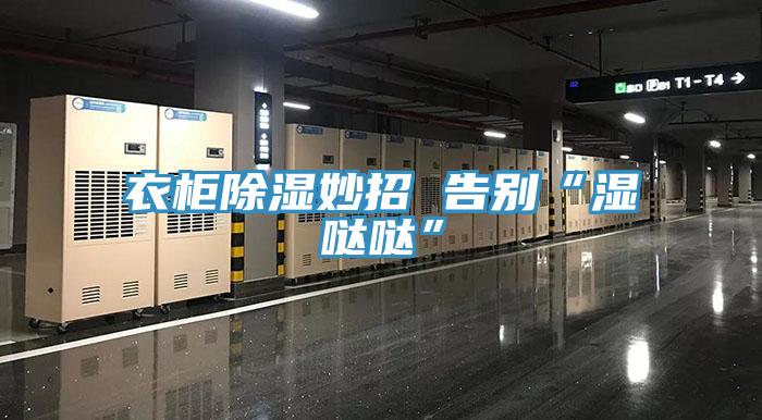 衣柜除湿妙招 告别“湿哒哒”
