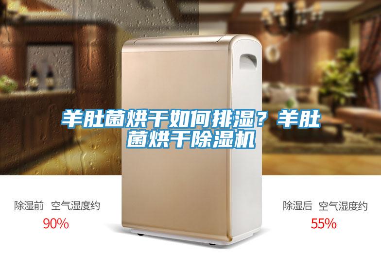 羊肚菌烘干如何排湿？羊肚菌烘干除湿机