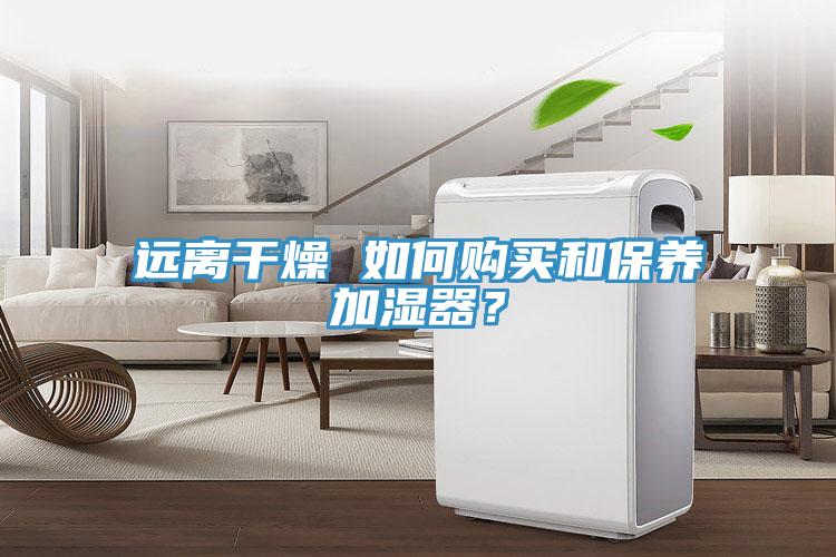 远离干燥 如何购买和保养加湿器？