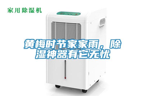 黄梅时节家家雨，除湿神器有它无忧